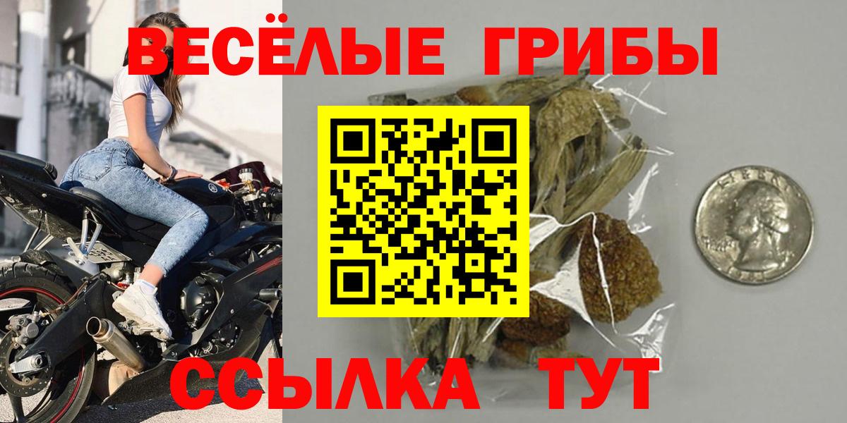 Псилоцибиновые грибы мухоморы  Вход с VPN  Псилоцибиновые грибы мухоморы  Солнечногорск 